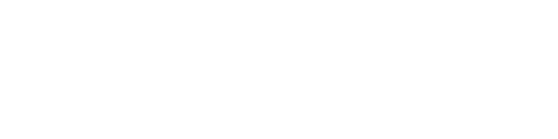 LG 1